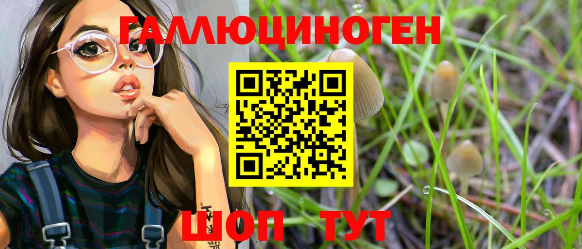 Псилоцибиновые грибы Psilocybe  Галлюциногенные грибы прущие грибы  Вход с VPN  Омск 